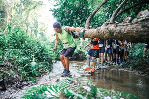 BIB: 
                            <button type="button" onclick="openModal(25468461)" class="btn btn-primary btn-sm float-right btn-popup" data-toggle="modal" data-target=".modal-high-quality">
                        <i class="fas fa-shopping-cart"></i> Add to Cart
                    </button>
                                            <button type="button" onclick="isThisMe(25468461, true)" class="btn btn-success btn-sm float-right btn-popup btn-isme hidden" data-toggle="tooltip" data-placement="bottom" title="นี่คือรูปของคุณใช่ไหม คลิกที่นี่เพื่อเอาเข้าอัลบั้ม">
                        <i class="fas fa-plus"></i> Add to album
                    </button>
                    <button type="button" onclick="isThisMe(25468461, false)" class="btn btn-warning btn-sm float-right btn-popup btn-isnotme hidden">
                        <i class="fas fa-ban"></i> Remove from album
                    </button>